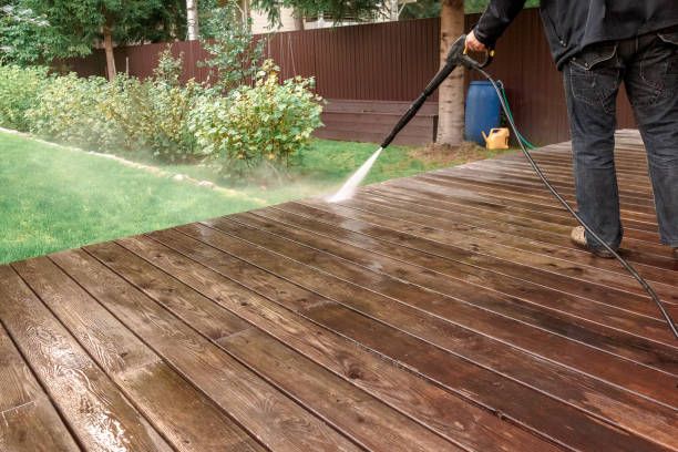 Best Rust Removal  in Lake Wynonah, PA